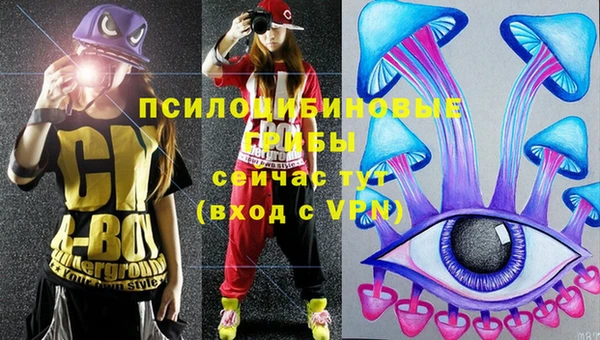 гашик Алексеевка