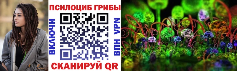 KRAKEN сайт  где продают наркотики  Тотьма  Псилоцибиновые грибы Cubensis 